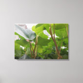 Fenster Leinwanddruck (Vorderseite)