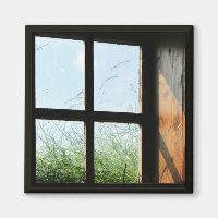Fenster
