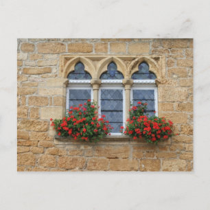 Fenster mit Blume Postkarte