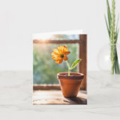 Fenster mit Orange Daisy Note Card Karte (Vorderseite)