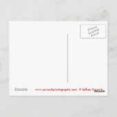 Fenster öffnen postkarte (Rückseite)