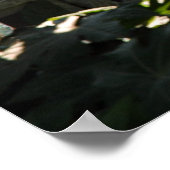 Fenster Poster (Ecke)