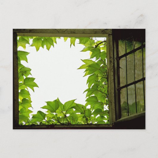 Fenster Postkarte (Vorderseite)