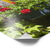 Fenster "Red Geranium Blume" Fotodruck (Ecke)