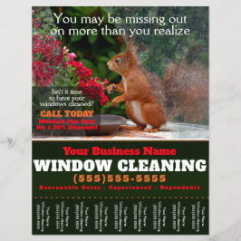 Fenster-Reinigungs-Geschäftsblatt Flyer