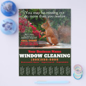 Fenster-Reinigungs-Geschäftsblatt Flyer (Einzeln)