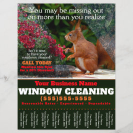 Fenster-Reinigungs-Geschäftsblatt Flyer