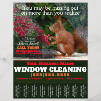 Fenster-Reinigungs-Geschäftsblatt Flyer