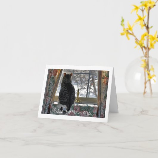 Fenster "Tabby Cat Looking Out" Karte (Gelbe Blume)