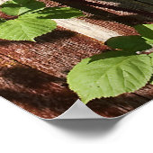 Fenster überarbeitet poster (Ecke)