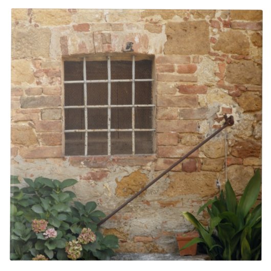 Fenster und alte Steinmauer, Pienza, Italien Fliese (Vorderseite)