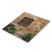 Fenster und alte Steinmauer, Pienza, Italien Fliese (Seite)