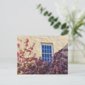 Fenster und Blüten Postkarte (Stehend Vorderseite)