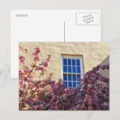 Fenster und Blüten Postkarte (Vorne/Hinten)