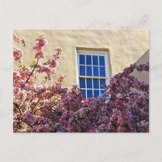 Fenster und Blüten Postkarte (Vorderseite)