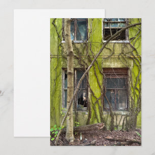 Fenster und Reben Feiertagskarte