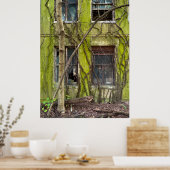 Fenster und Weinreben Poster (Küche)