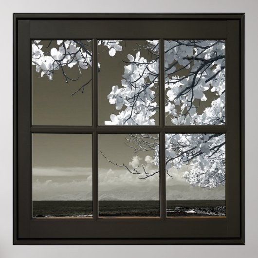 Fenster "Weiße Blume blüht 24x24 Schwarze Imitate" Poster (Vorne)