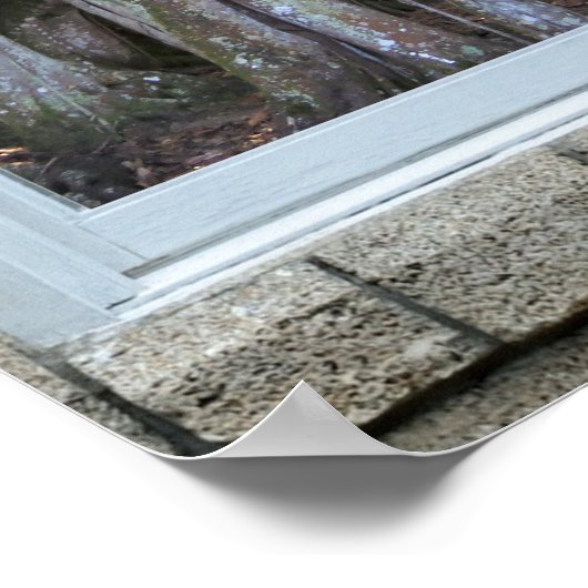 Fensteransicht Banyan-Baumstruktur Sternexplosion Poster (Ecke)