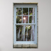 Fensteransicht Banyan-Baumstruktur Sternexplosion Poster (Vorne)