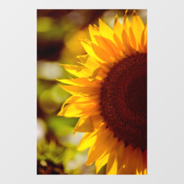Fensteraufkleber - Sonnenblume auf dem Feld Fotogr