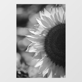 Fensteraufkleber - Sonnenblume auf dem Feld SW