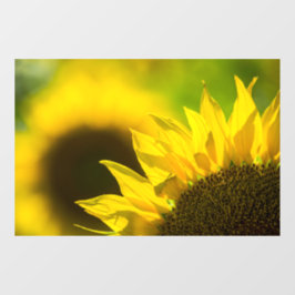 Fensteraufkleber - Sonnenblumen-Blumen-Naturfotogr