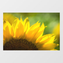 Fensteraufkleber - Sonnenblumen-Fotografie