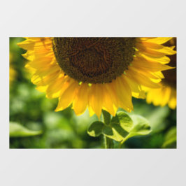 Fensteraufkleber - Sonnenblumen-Fotografie in Blüt