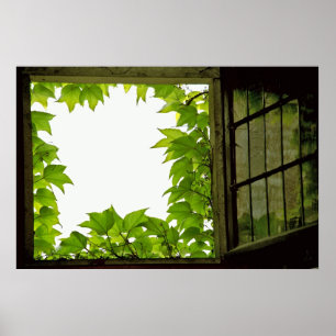 Fensterdruck Poster