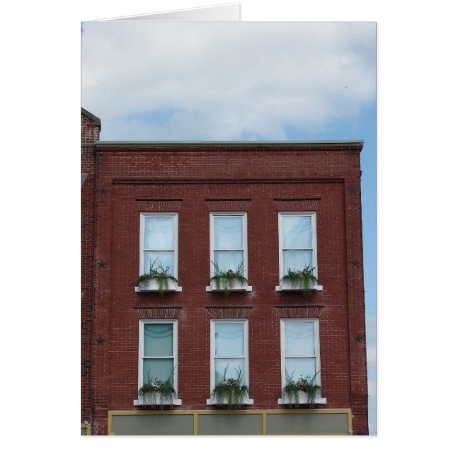 Fensterfelder (Vorne)