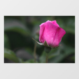 Fensterfolie - Elegante rosa Rosenknospe Fensteraufkleber