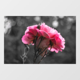 Fensterfolie - Eleganz der rosa Rose Fensteraufkleber