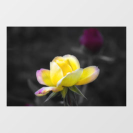 Fensterfolie - Gelbe Rose Fotografie Fensteraufkleber