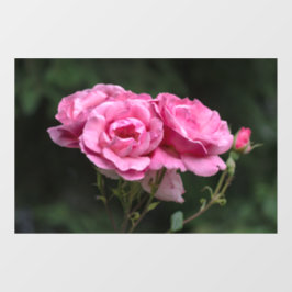 Fensterfolie - Pink Roses Fotografie Fensteraufkleber