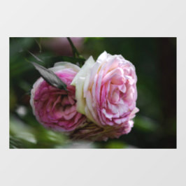 Fensterfolie - Rosa Rosen - Errötendes Duett Fensteraufkleber