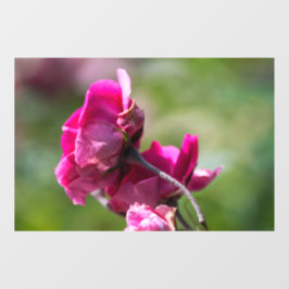 Fensterfolie - Rose - Magenta Grace Fensteraufkleber