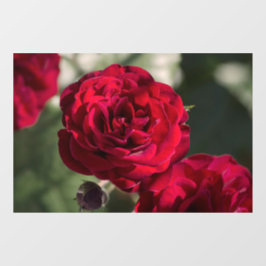 Fensterfolie Rosen - Samtige Pracht Fensteraufkleber