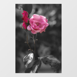 Fensterfolie - Rosen Schattierungen der Hingabe Fensteraufkleber