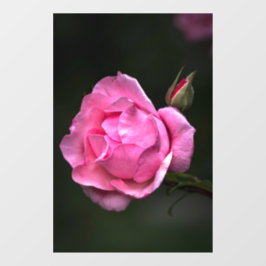 Fensterfolie - Rosenblüten-Naturfotografie Fensteraufkleber