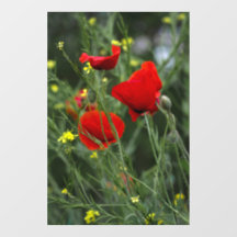 Fensterfolie - Rote Klatschmohn-Fotografie