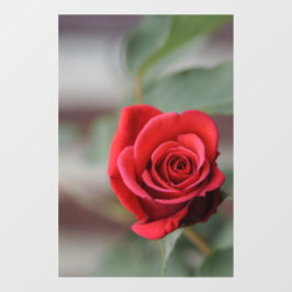 Fensterfolie - Rote Rosen Eleganz Fotografie Fensteraufkleber