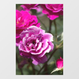 Fensterfolie - Schöne Rosenfotografie Fensteraufkleber