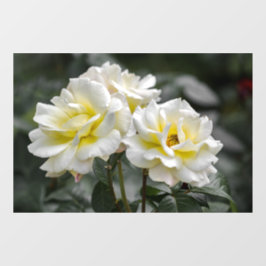 Fensterfolie - White Rose Fotografie Fensteraufkleber