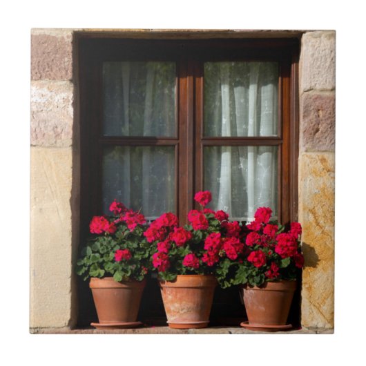 Fensterheber in Blume Fliese (Vorderseite)