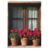 Fensterheber in Blume Klemmbrett (Rückseite)