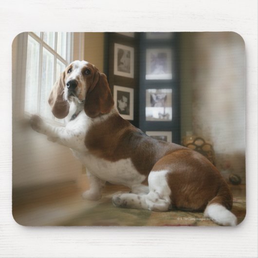 Fensterhund Mousepad (Vorne)