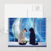 Fensterkatzen Postkarte (Vorne/Hinten)