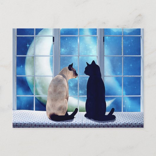 Fensterkatzen Postkarte (Vorderseite)