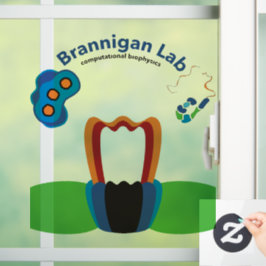 Fensterklammer Fensteraufkleber